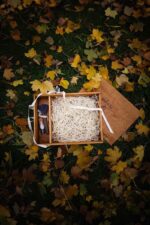 Wood Album Box Medium natural wood grain detail